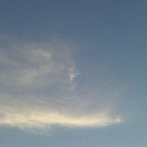 Meet your Posher, Anne